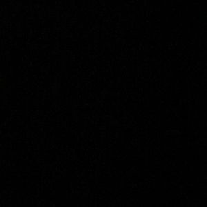 Meet your Posher, Elise